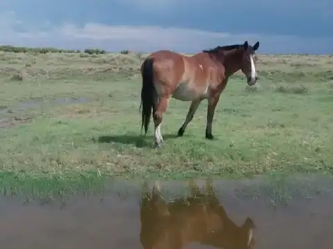 Terreno en Jocolí, Lavalle 200 Hectáreas