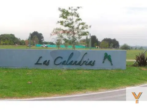 Las Calandrias