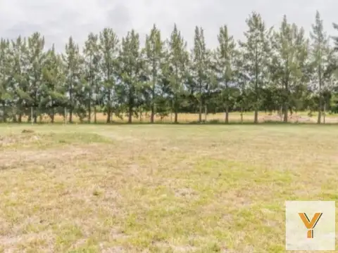 Terreno en venta - 1184.65 Mts2 - Las Calandrias, Exaltación De La Cruz