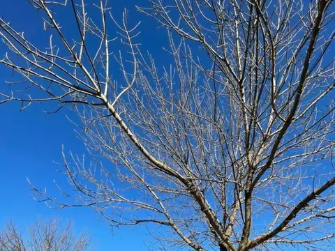 Casa en Venta en Terravista, USD 550.000