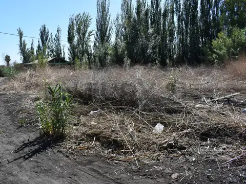 Terreno en Venta en Kilometro 8, USD 15.000