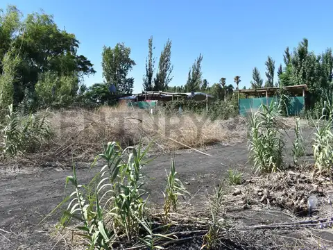 SILVANO RODRIGUEZ 2200, Piso 0