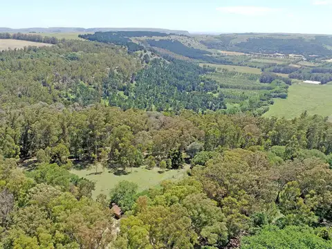 Balcarce - 67 ha. Ideal uso turísitico-recreativo