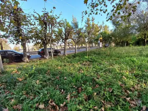 Avenida Villanueva, Dique Luján 800