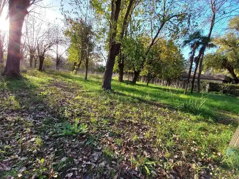 Terreno en Venta, FOT 1,2