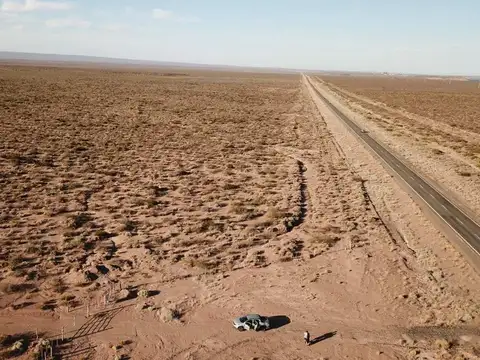 VENTA HECTAREAS EN SENILLOSA