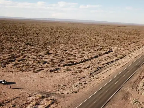 VENTA HECTAREAS EN SENILLOSA