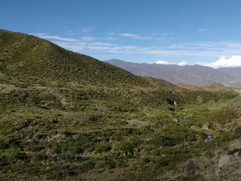Ruta Panamericana 100