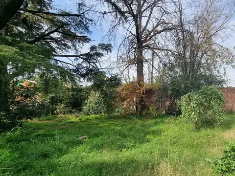 Terreno en Paso Del Rey