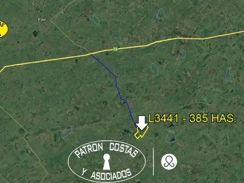 385 HAS AYACUCHO RUTA 74 GANADERIA Y AGRICULTURA