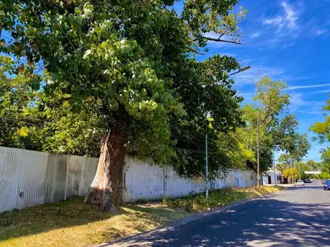 VENTA LOTE LANUS 3000m2 TERRENO CON ARBOLES, SOLIDO MURO Y PORTON