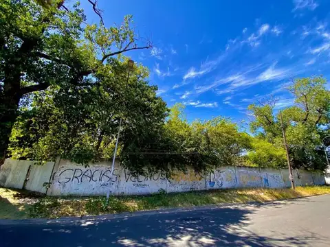 VENTA LOTE LANUS 3000m2 TERRENO CON ARBOLES, SOLIDO MURO Y PORTON