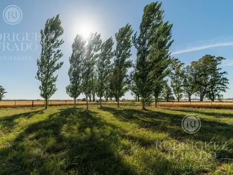 Ruta 31 - San Antonio de Areco