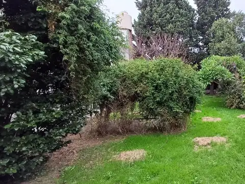 Sastre 444