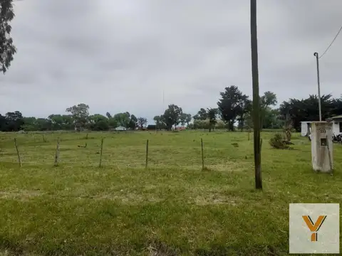 Olavarría e/ Pueyrredón y Tres Arroyos