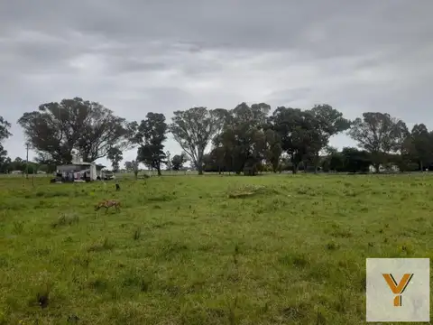 Terreno en Venta de 5000,0 m2
