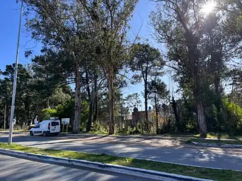 Terreno en Venta en Ostende, USD 63.000