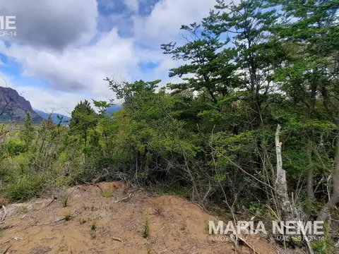 De los Espinos al 8200