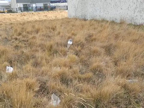 Magdalena Frida Kahlo 1100