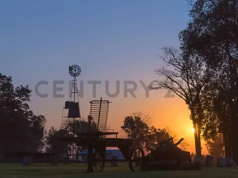 VENTA LOTE N° 125 | BARRIO POLO EN TRES PINOS, GENERAL RODRIGUEZ - Acepta permuta