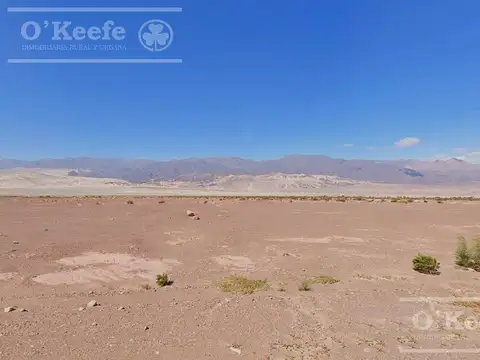 Campo en  venta 101 has Fiambala, Catamarca