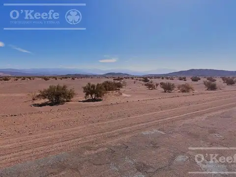 Campo en  venta 101 has Fiambala, Catamarca