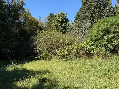 Terreno en Venta 120  mts Fondo
