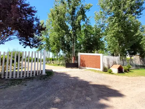 Finca en produccion san martin - mendoza