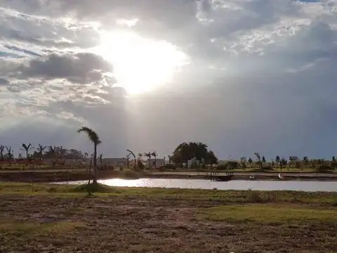 Campos de La Enriqueta