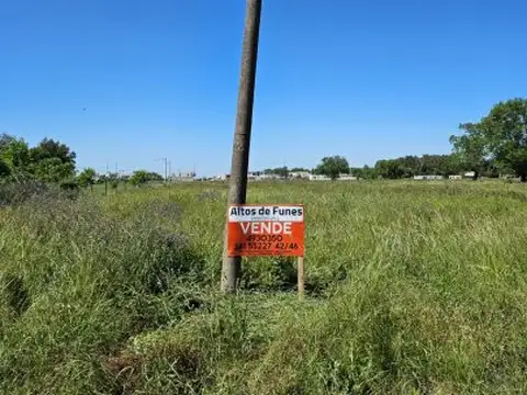 José Ingenieros y Maistegui , Piso No definido