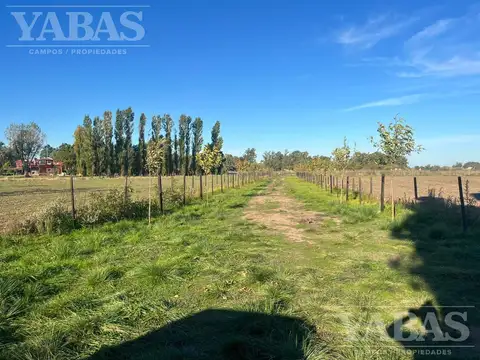 Campo agrícola en venta – 24 hectáreas – Ruta Nacional N.º 8