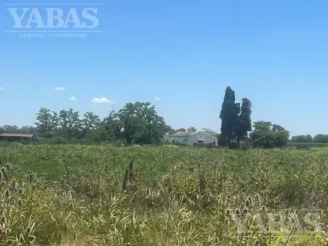 Campo agrícola en venta – 24 hectáreas – Ruta Nacional N.º 8