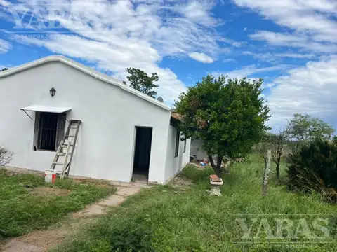 Campo agrícola en venta – 24 hectáreas – Ruta Nacional N.º 8