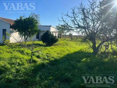 Campo agrícola en venta – 24 hectáreas – Ruta Nacional N.º 8