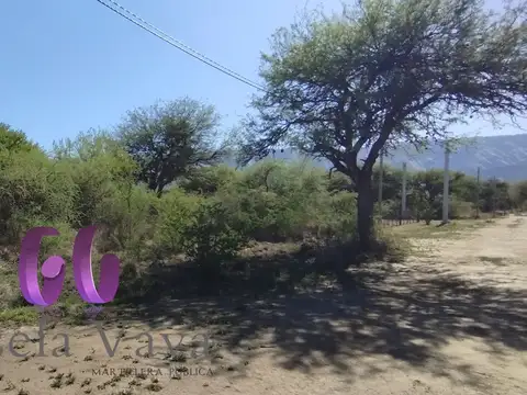 LOTE en CERRO DE ORO – MERLO – SAN LUIS