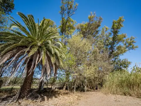 VENTA - Terreno /  Lote - Funes, Santa Fe.