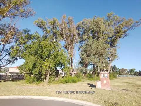 PILAR DEL ESTE BARRIO SANTA SOFIA