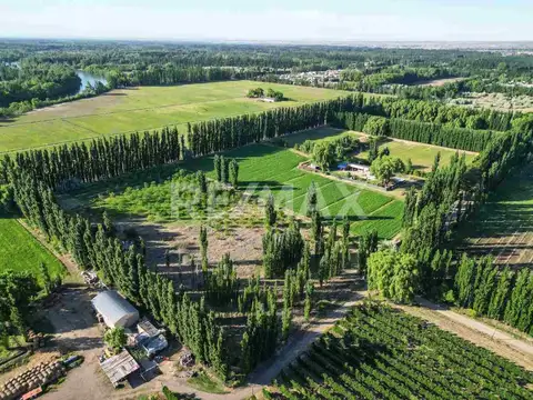 Roberto Sánchez 200