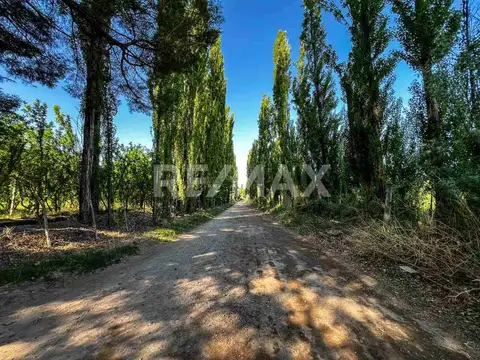 Roberto Sánchez 200