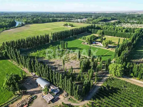 VENTA CHACRA VISTA ALEGRE SUR