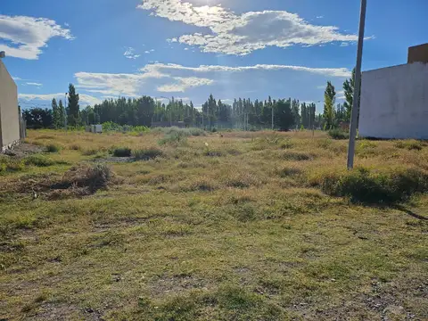 Terreno en Venta 8  mts Frente