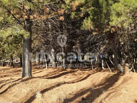 Terreno en Venta 83  mts Fondo