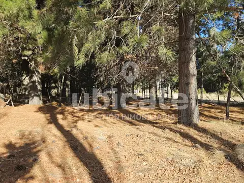 Terreno en Venta de 2505,0 m2