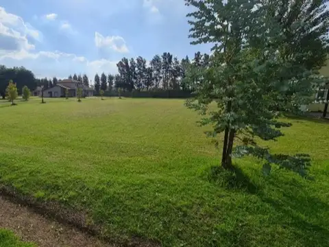Ruta 25