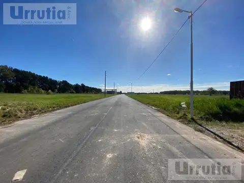 GRAL HORNOS al 6200