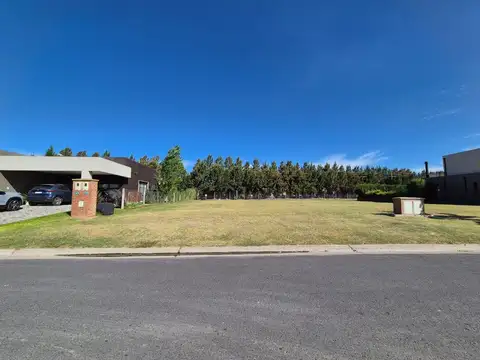 Calle El Deslinde 1100