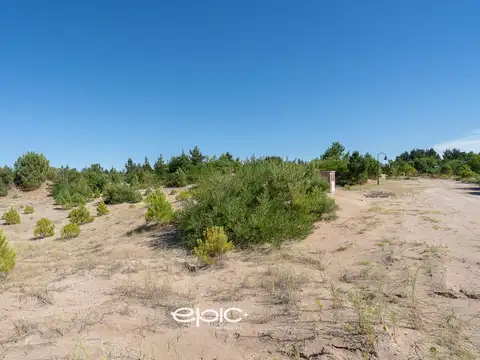 Terreno en Venta 50  mts Fondo