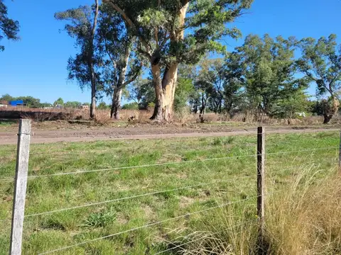 CAMPO EN VENTA LOS HORNOS HECTAREA Y 4000 M2