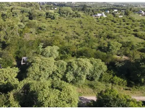 Terreno en Venta 44  mts Fondo