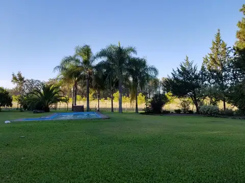 100 has. 2has de casco. Vivienda de 350 m2 cubiertos. 1000m de frente sobre ruta 42